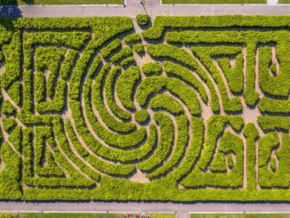 Labyrinth im schlosspark