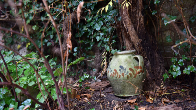 Alte Vase im Garten